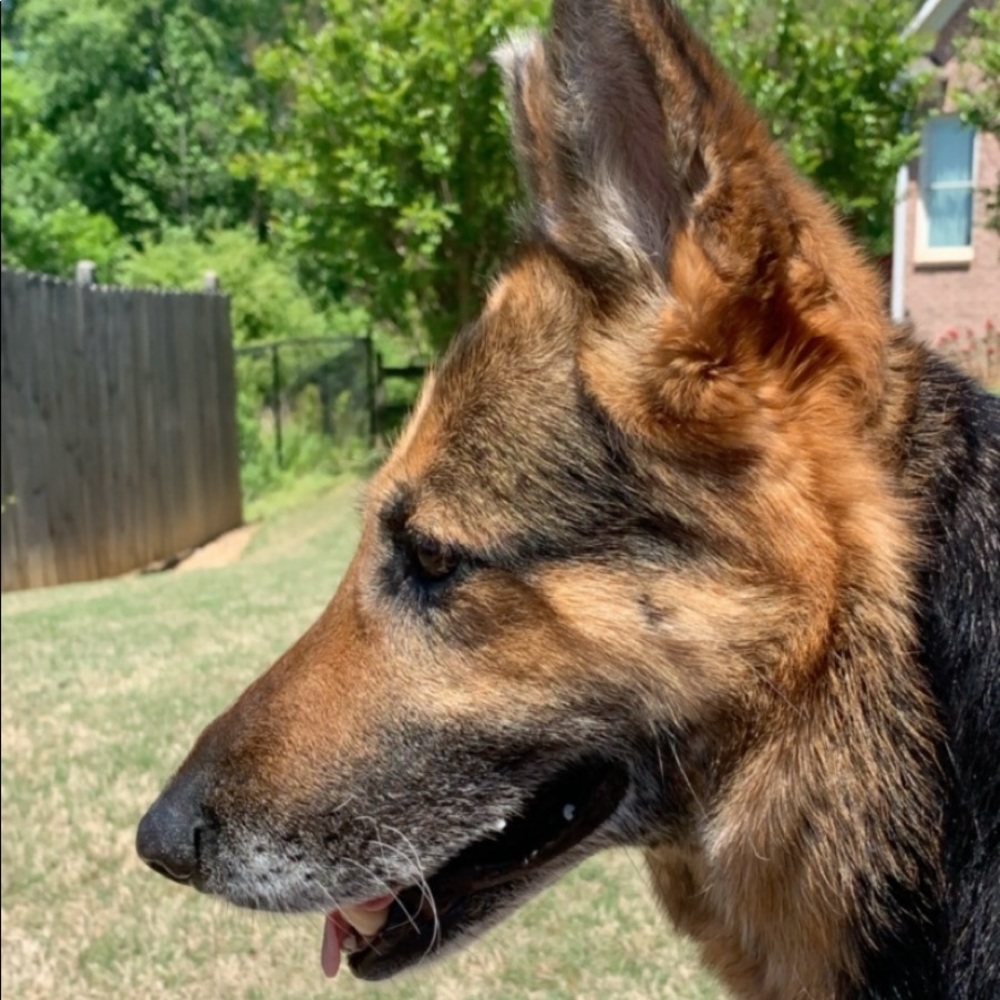 Meet your Posher, Lana